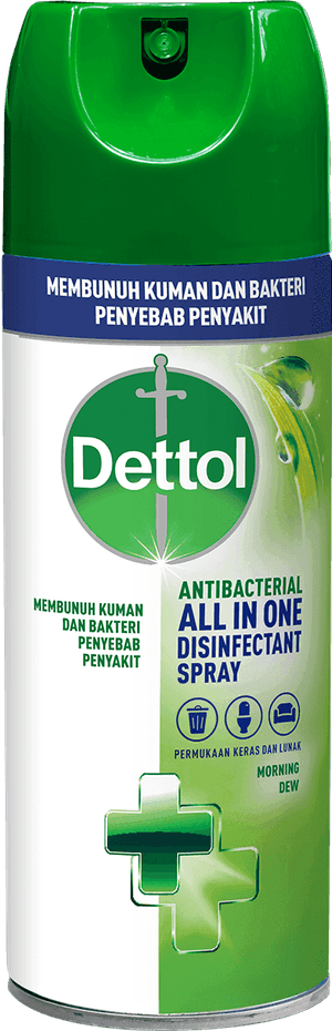 Spray Disinfektan Anti Bakteri Dettol Morning Dew