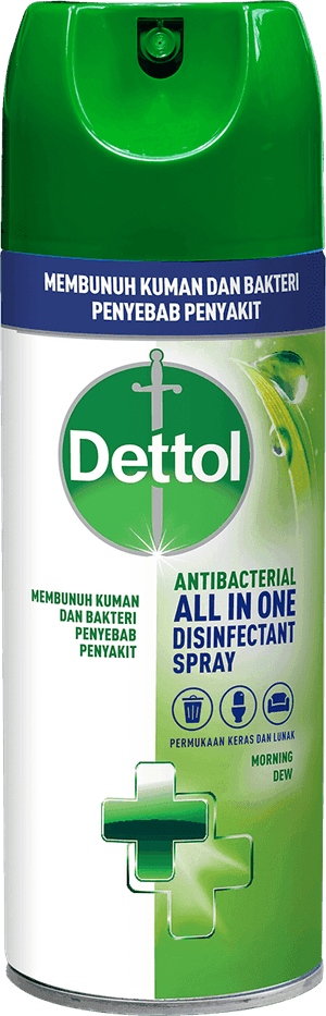 Spray Disinfektan Anti Bakteri Dettol Morning Dew