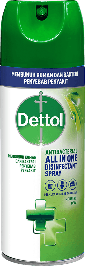 Spray Disinfektan Anti Bakteri Dettol Morning Dew