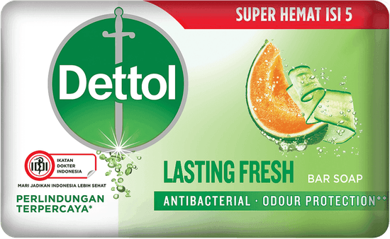 Sabun Anti Bakteri Lasting Fresh