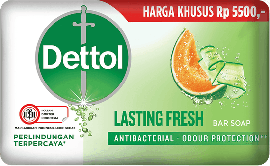 Sabun Anti Bakteri Lasting Fresh