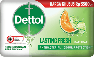 Sabun Anti Bakteri Lasting Fresh