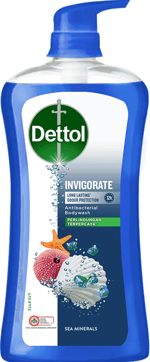 Sabun Cair Anti Bakteri Dettol Invigorate