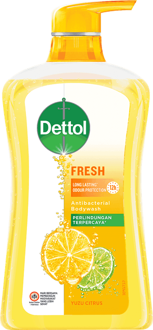 Sabun Cair Anti Bakteri Dettol Fresh