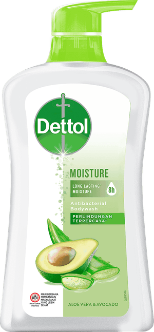 Sabun Cair Anti Bakteri Dettol Moisture