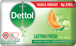 Sabun Anti Bakteri Lasting Fresh