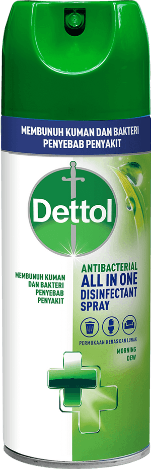 Spray Disinfektan Anti Bakteri Dettol Morning Dew